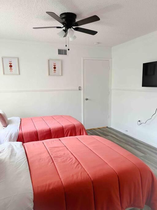 Sparkling Guest Home 2 Bedroom-15 Minutes To Clearwater Beach エクステリア 写真